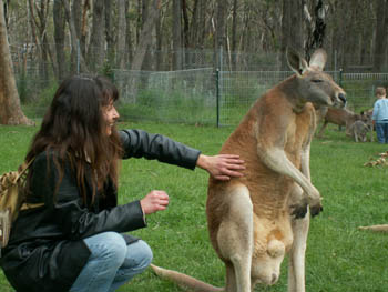 Rencontre avec les kangourous, Sophie