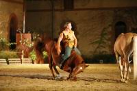J-M Montegnies_mg_0075_horse_show.jpg
