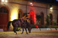 J-M Montegnies_mg_0298_horse_show.jpg