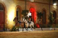 J-M Montegnies_mg_0362_horse_show.jpg